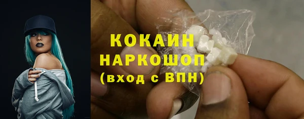 соль ск Семёнов