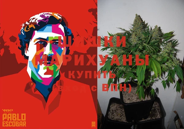 соль ск Семёнов